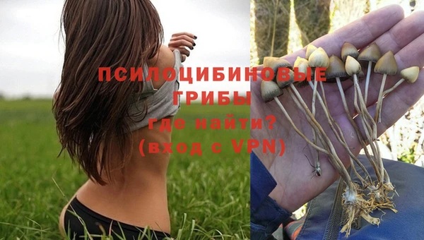mix Алексин