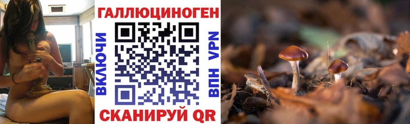 закладка  Похвистнево  Галлюциногенные грибы GOLDEN TEACHER 