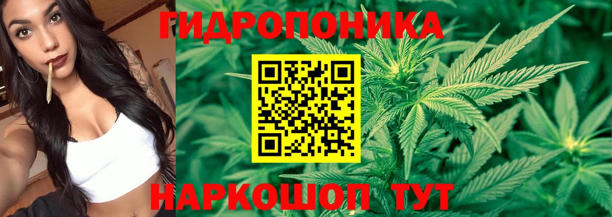 Шишки марихуана White Widow  Бошки марихуана конопля  Похвистнево  Бошки Шишки сатива  Вход с VPN  МАРИХУАНА Amnesia 